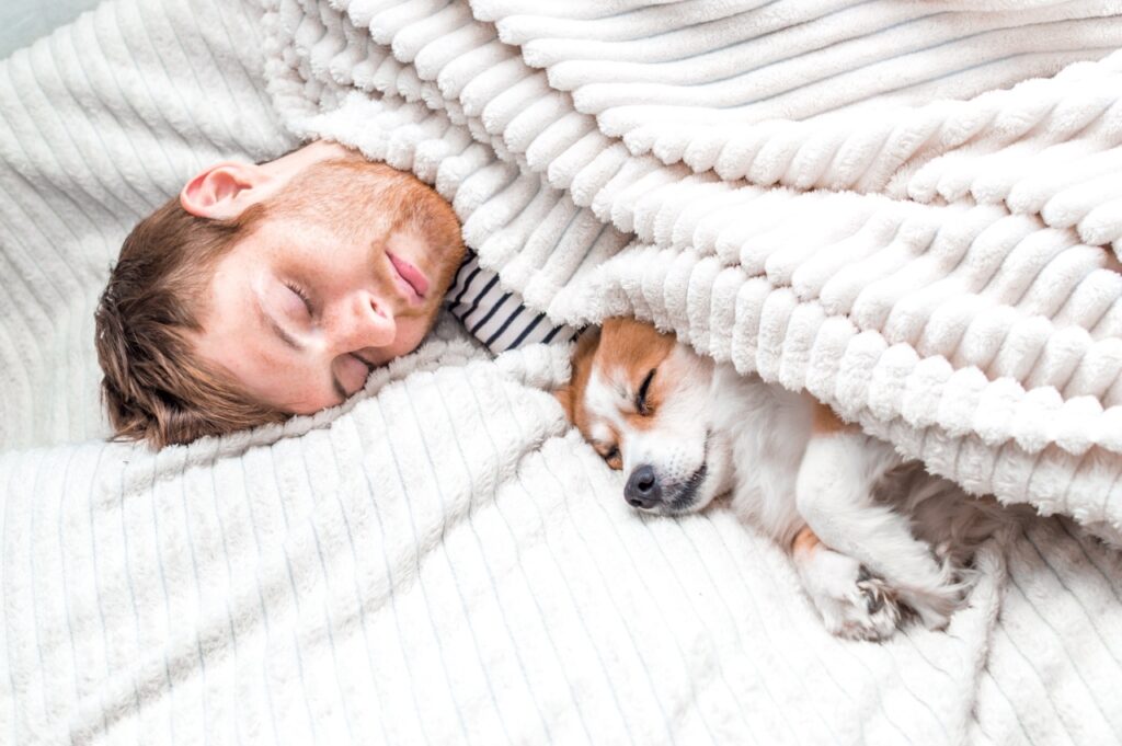 Dog Sleeping in Bed with Owner