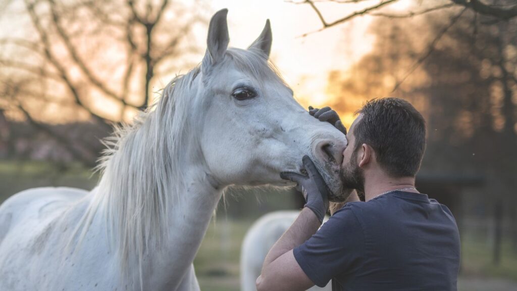horse with owner