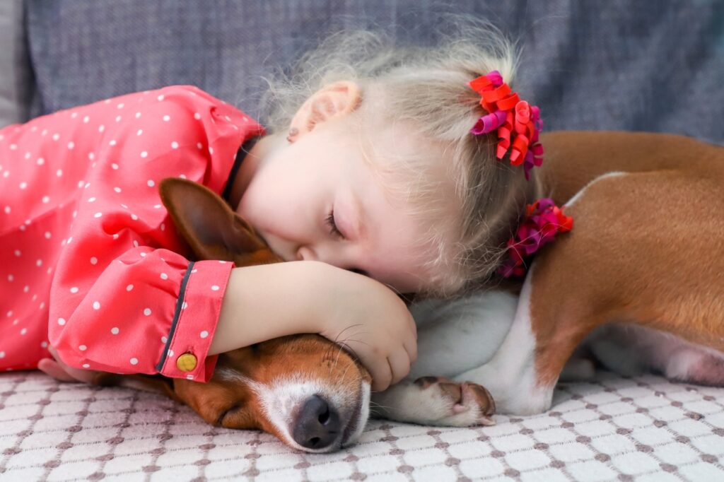 Kid sleeping with Basenji dog