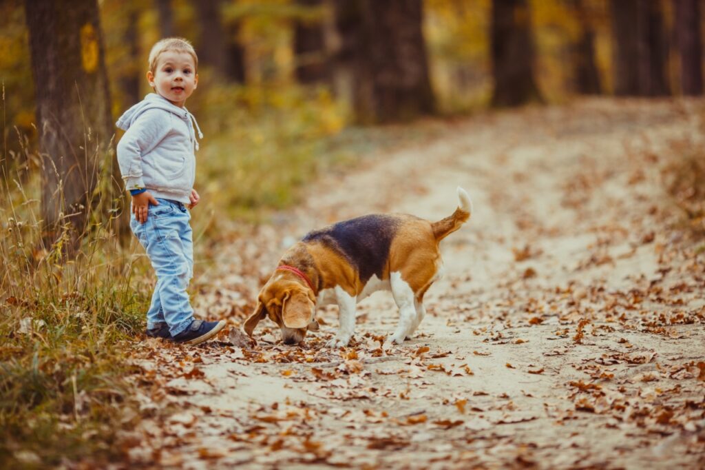 Kid and German Shepherd dog on an outing