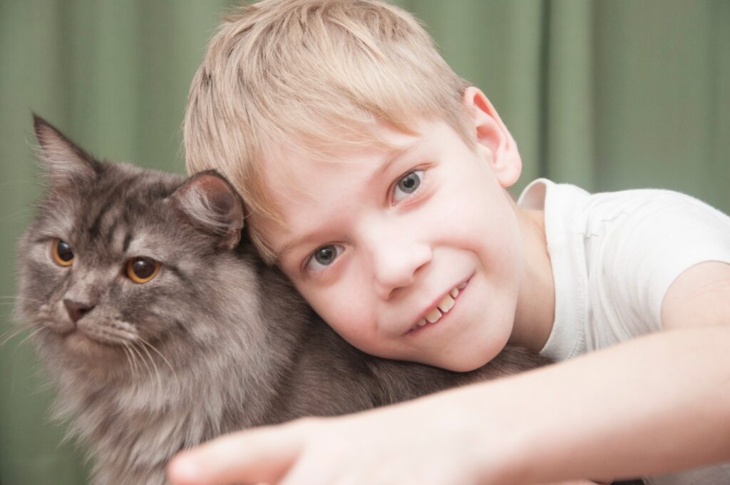 Maine coon with a kid