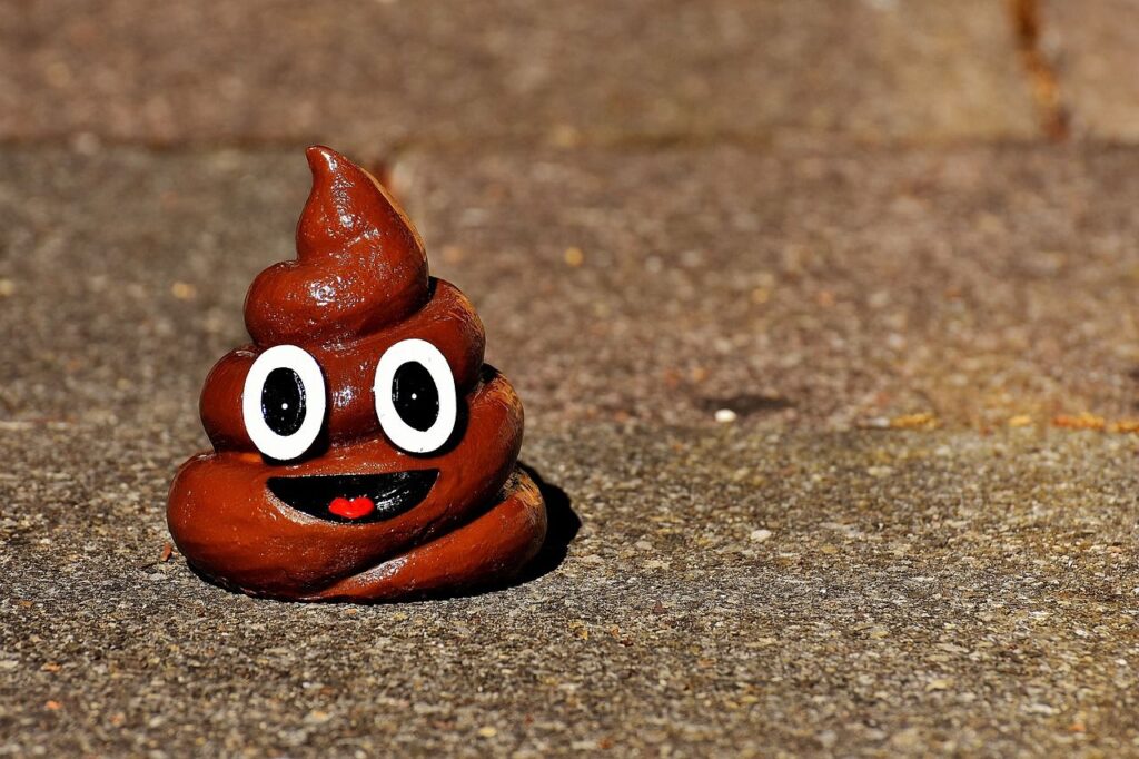Poop 