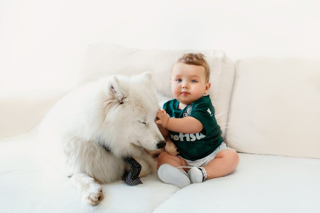 Samoyed with a kid on sofa