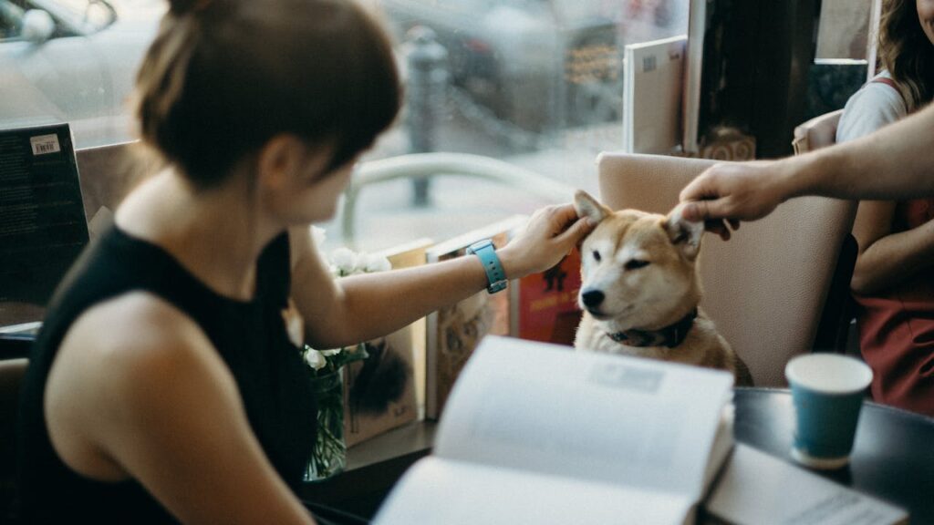 Shiba Inu in restaurant