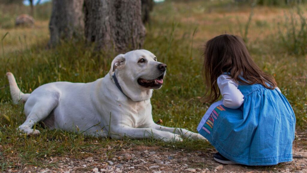 large dog with kid