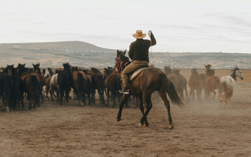 A cowboy riding a Mustang