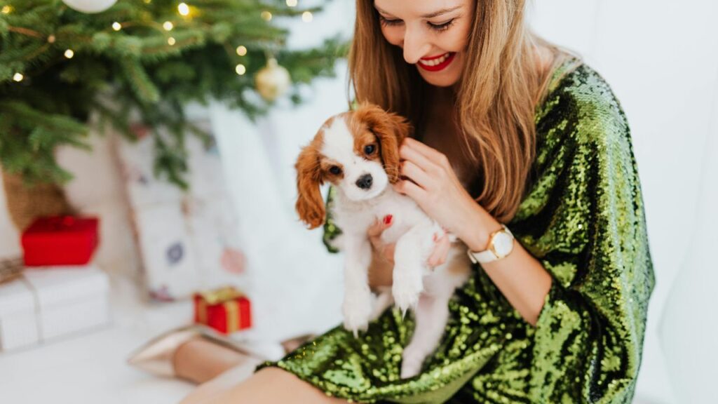 Cavalier King Charles