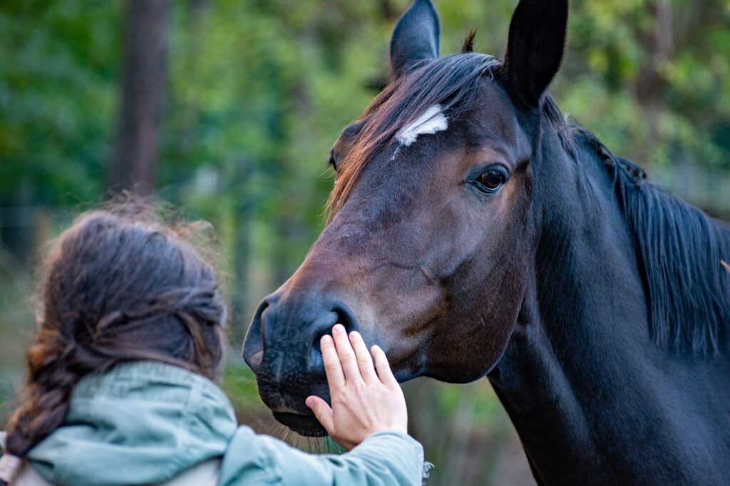 horse with human
