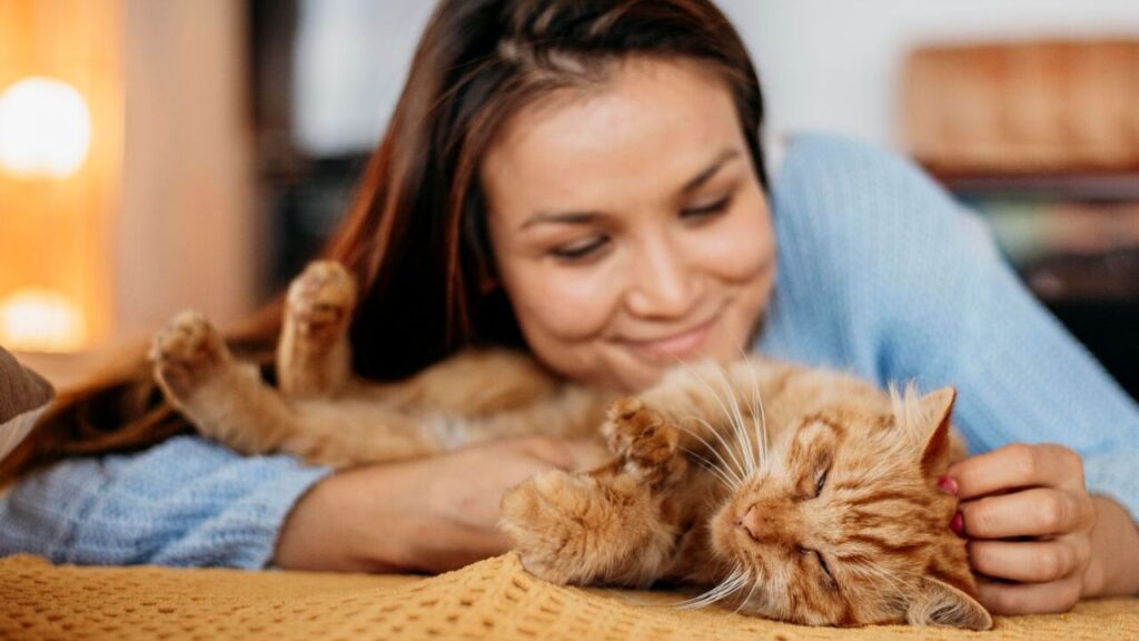 cat with owner
