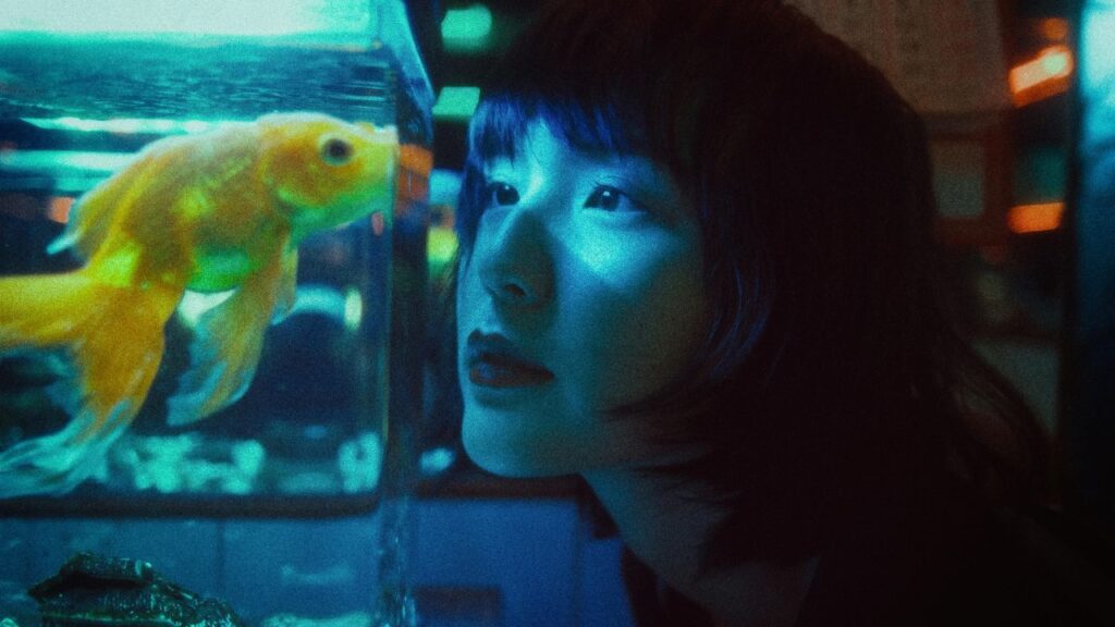 A young woman leans close to an aquarium