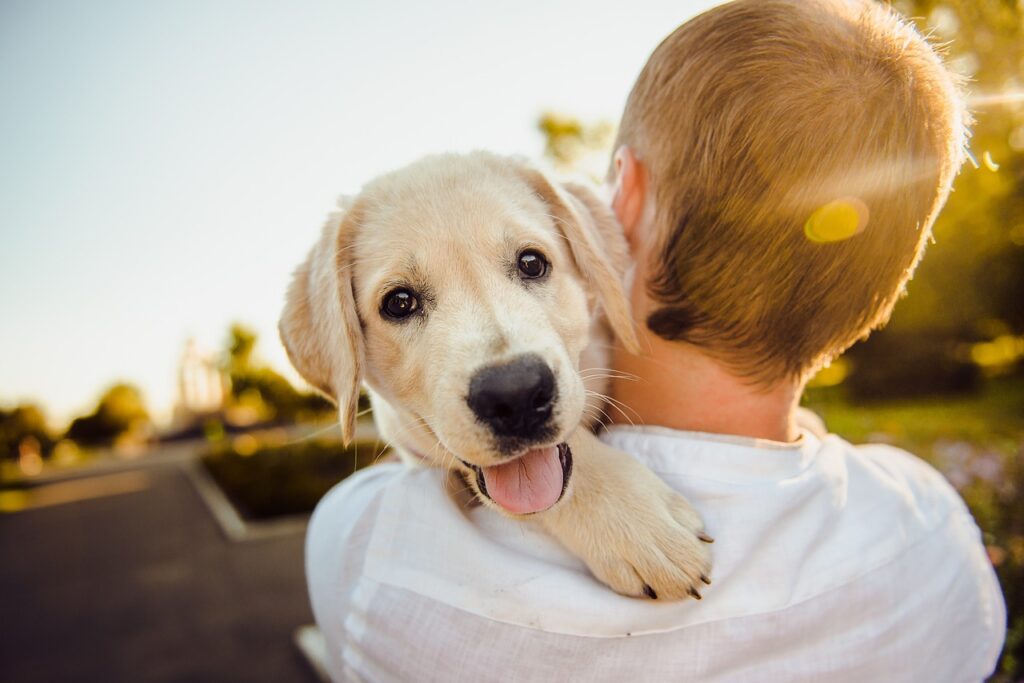 dog on shoulders