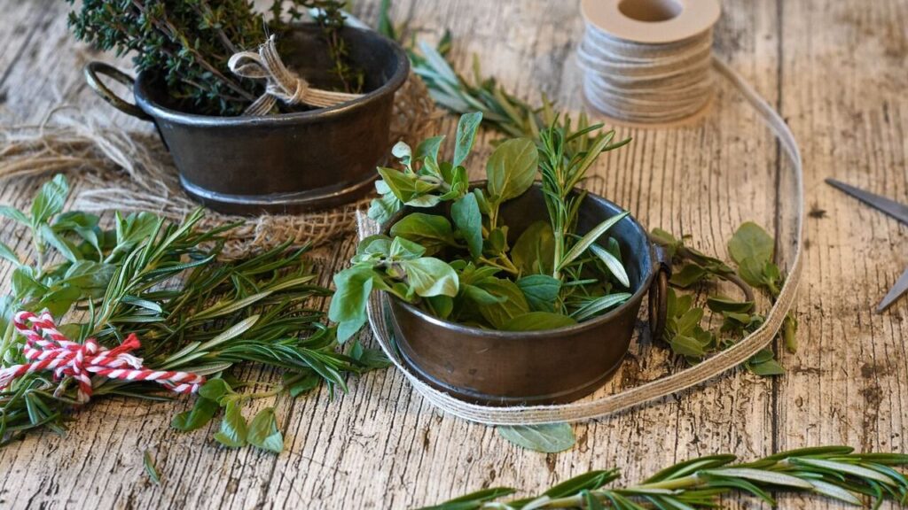 Rosemary