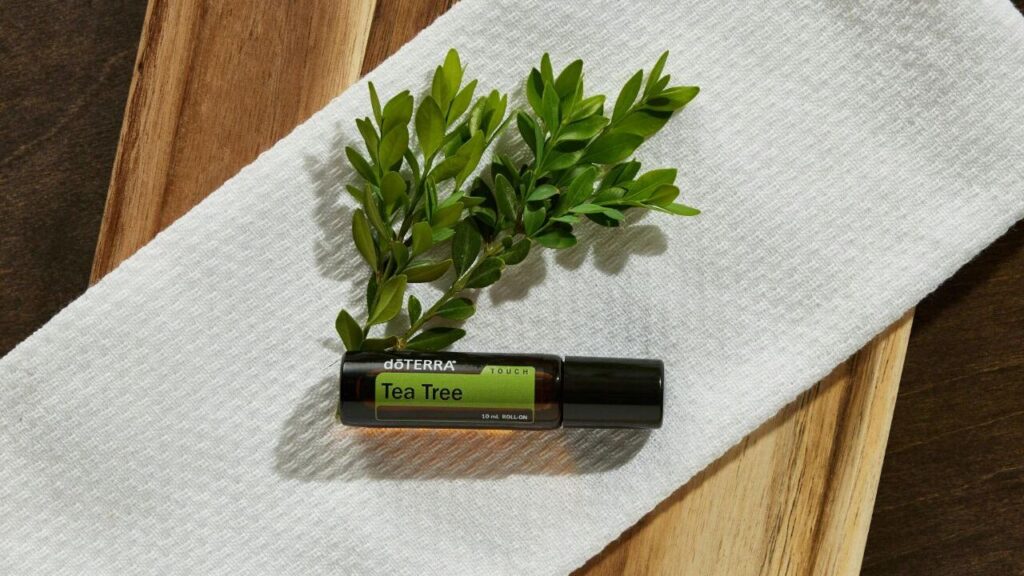 Tea tree
