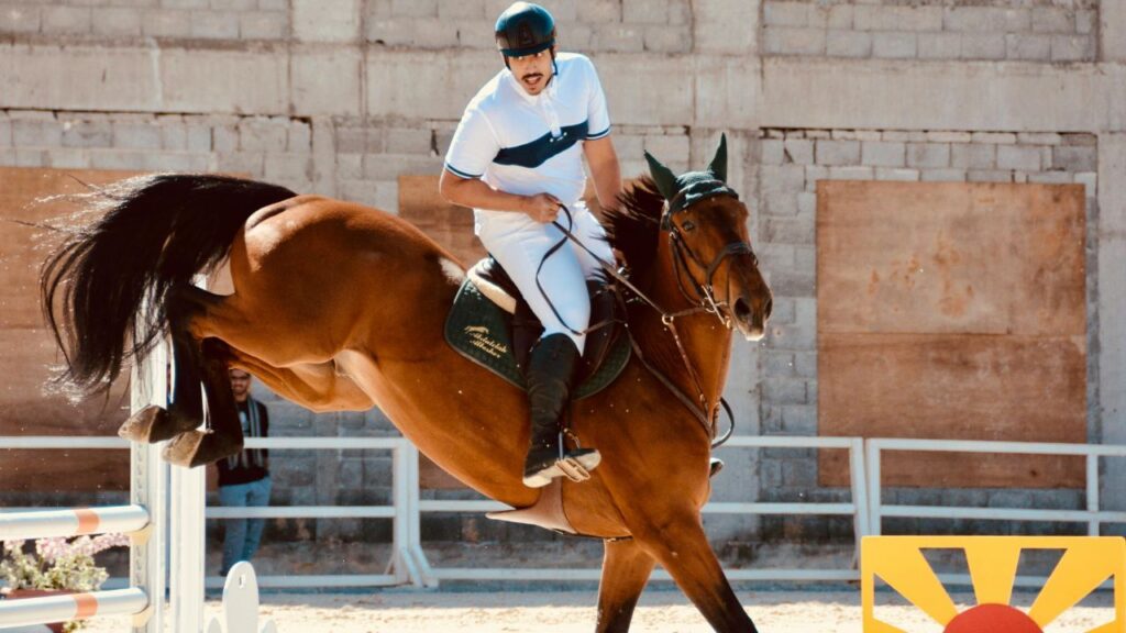 A rider in a white and blue outfit is atop a brown horse