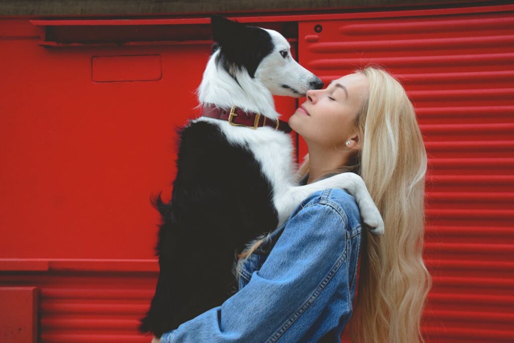 a border collie in woman's lap