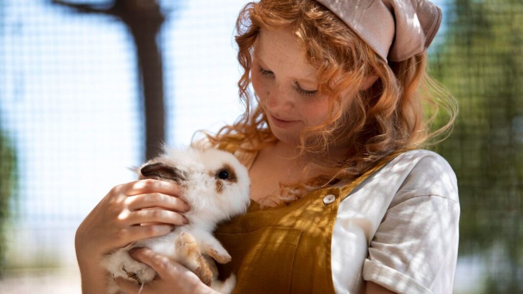 rabbit with owner