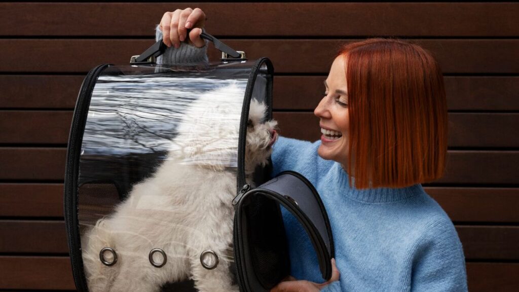 Dog in a travel bag