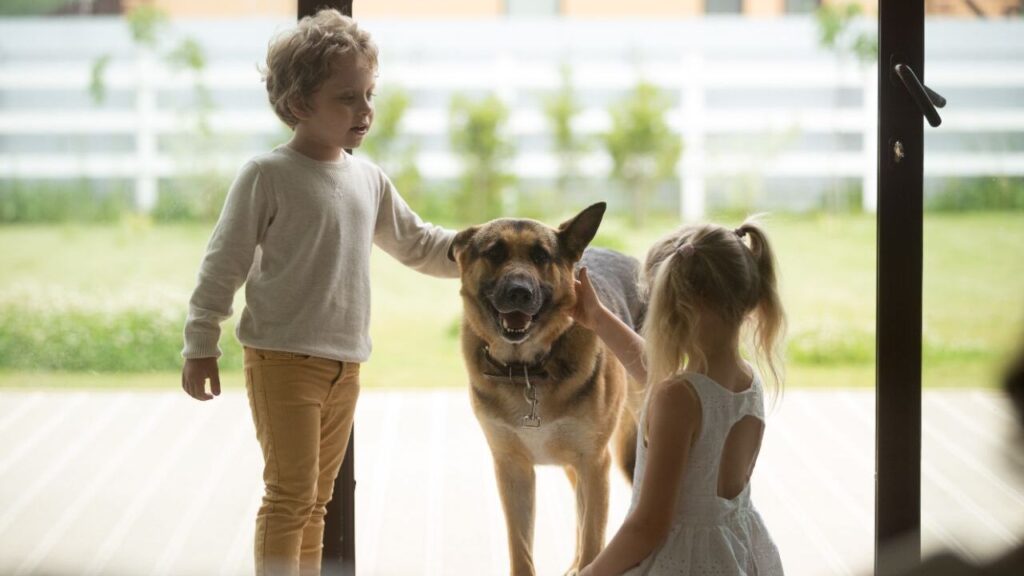 German Shepherd with kids