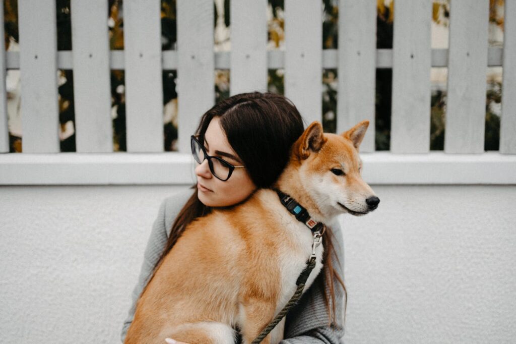 Shiba