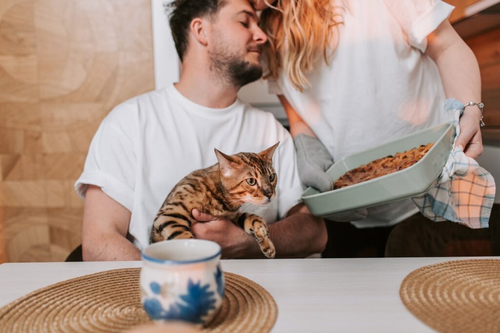 A bengal cat as pet with owners