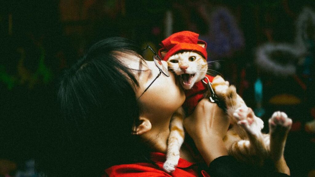 A person wearing glasses playfully kisses a ginger cat dressed in a red outfit