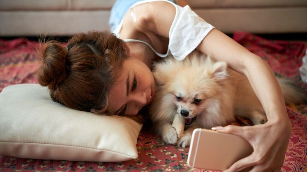 A girl and a dog watching mobile