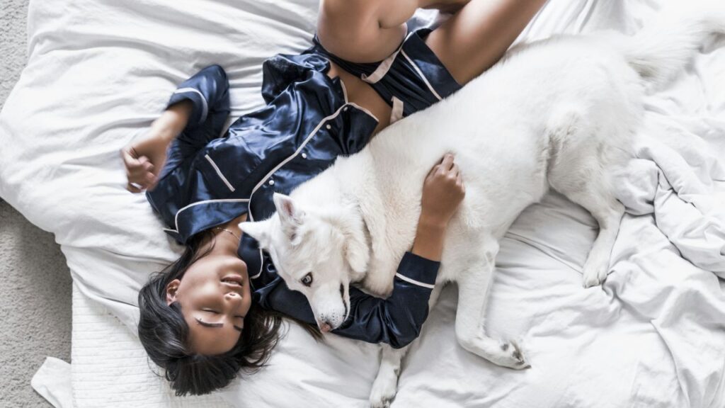 A girl and a white husky in bed