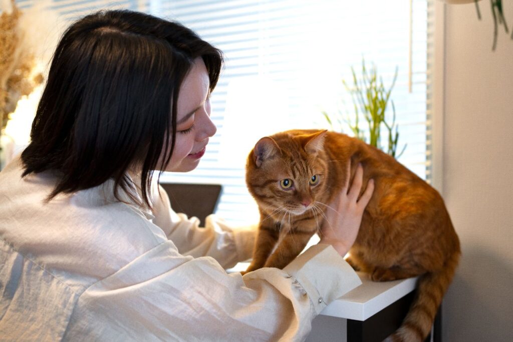 An asian woman with an orange cat
