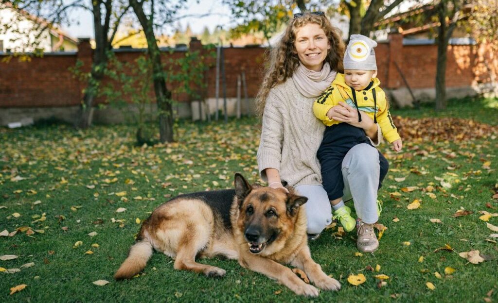 German Shepherd with a family