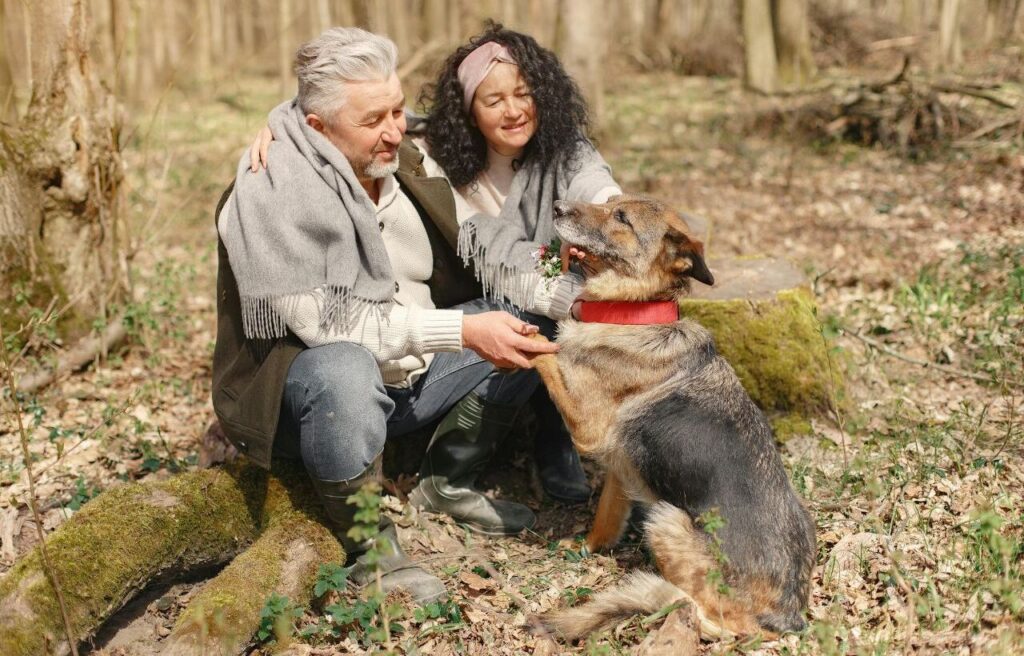 German Shepherd in the woods