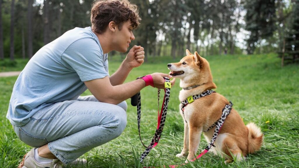 dog with owner