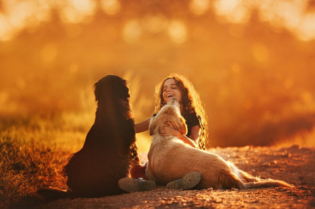 dogs with girl