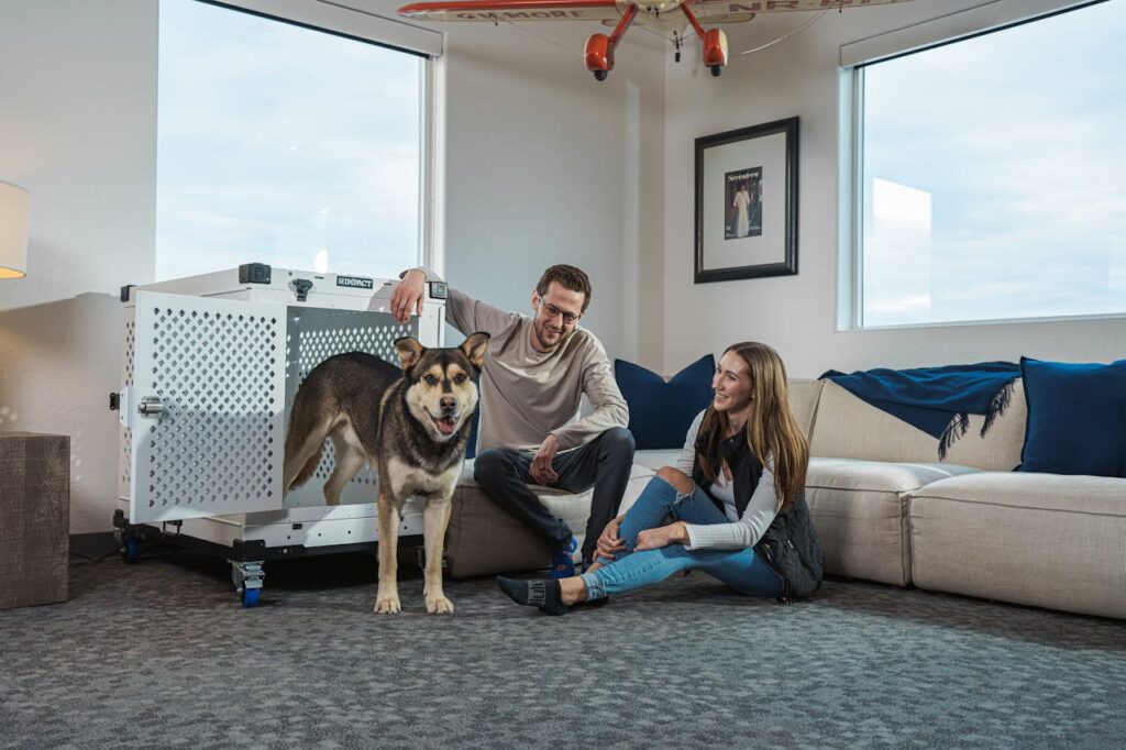 dog with crate and family