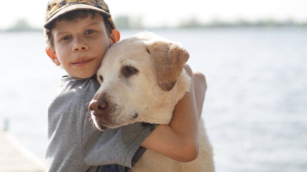 A boy hugging Golden Labrador