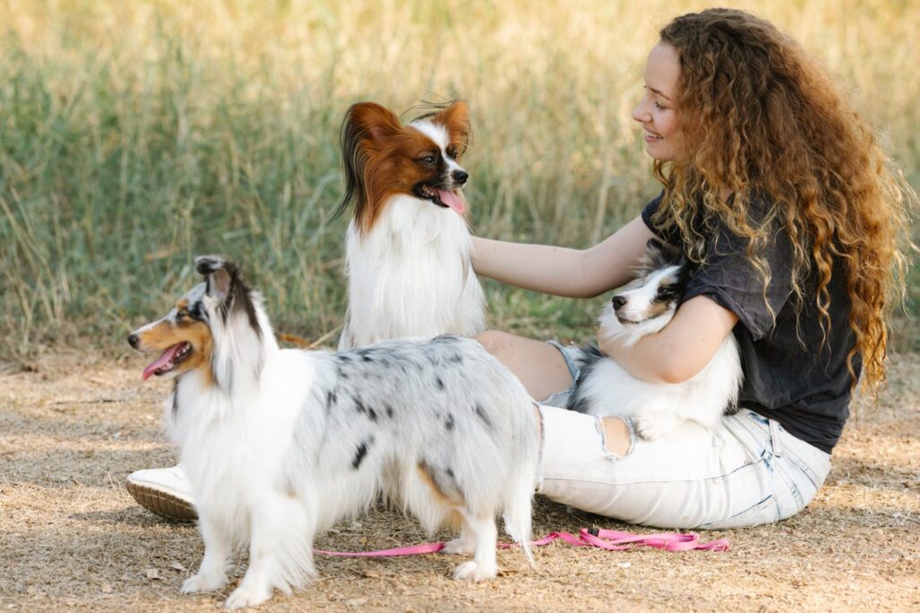 Papillon with rough coolie and owner