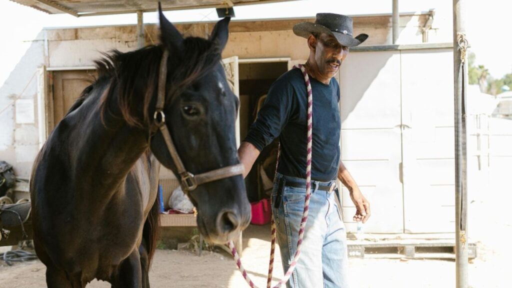 Supplies and Equipment Every Horse Owner Needs