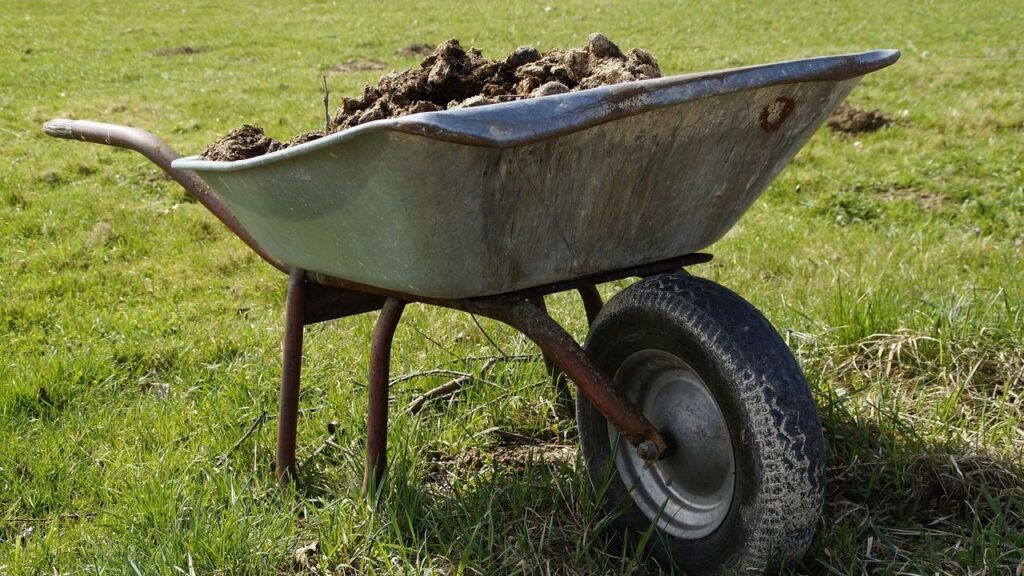 Supplies and Equipment Every Horse Owner Needs