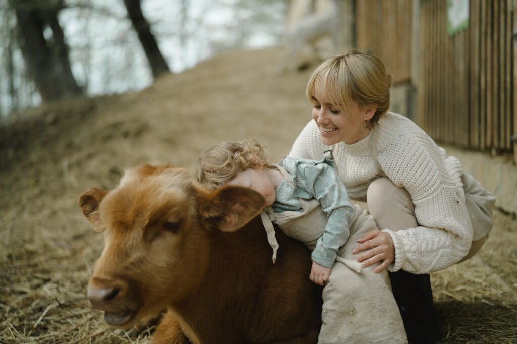 Girl hugging a cow