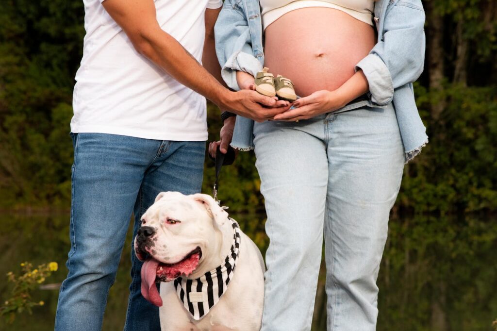 dog with parents to be