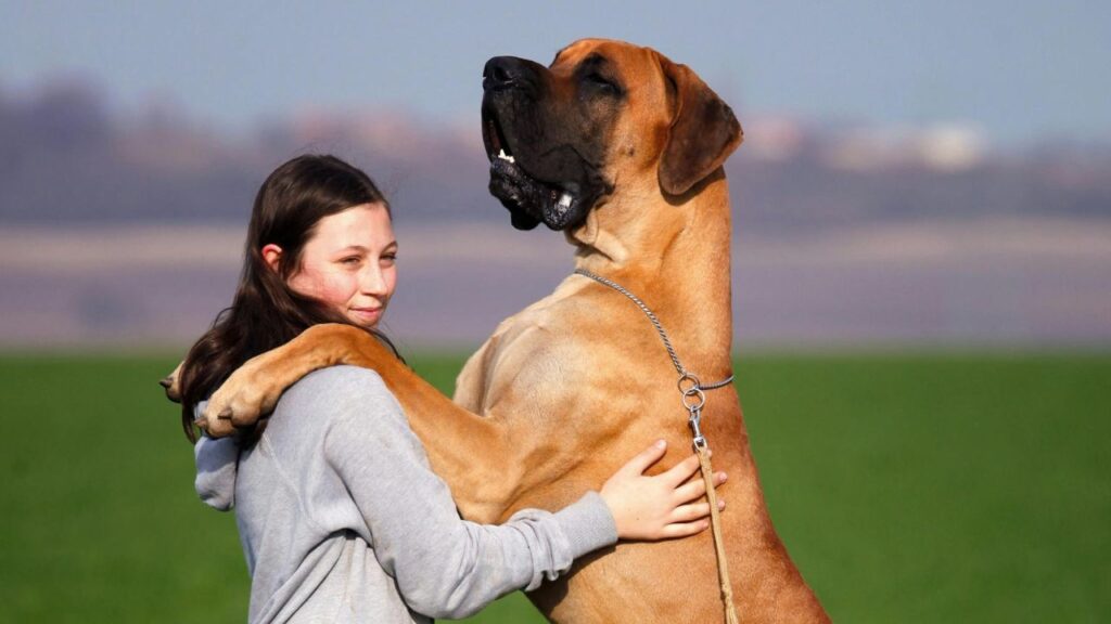 Friendly and Gentle Nature