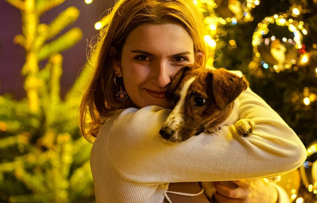 Woman hugging a Jack Russell Terrier by a Christmas tree.