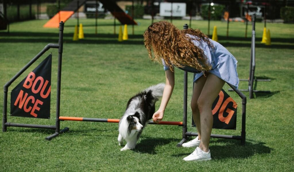 A woman with curly red hair wearing a light blue dress and white sneakers guiding a black and white dog through an agility course on a grassy field. The setup includes obstacles labeled with 'BOUNCE' and cones in the background.