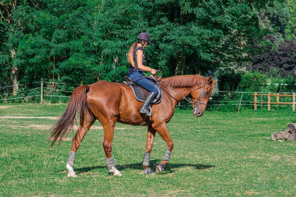 horseback riding disciplines