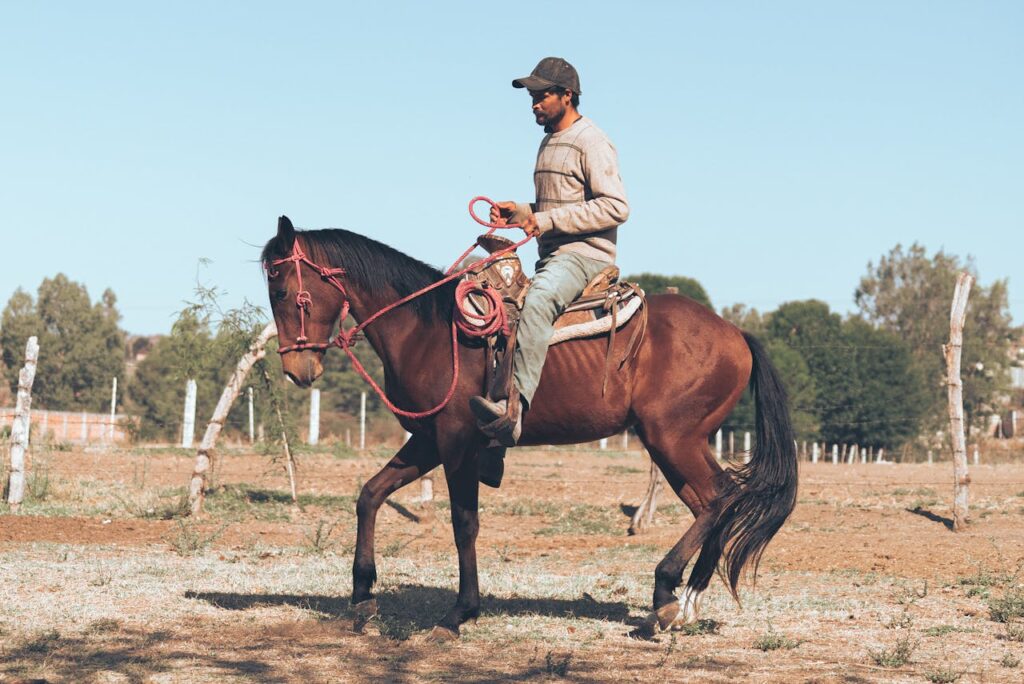 Chestnut horse walking with rider in arena