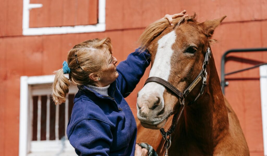 A woman in a blue sweater gently brushing the mane of a chestnut horse with a white blaze on its face. The horse is wearing a halter and stands calmly in front of a red barn with white-trimmed windows. The scene captures a warm, caring interaction in a sunny, rural setting.