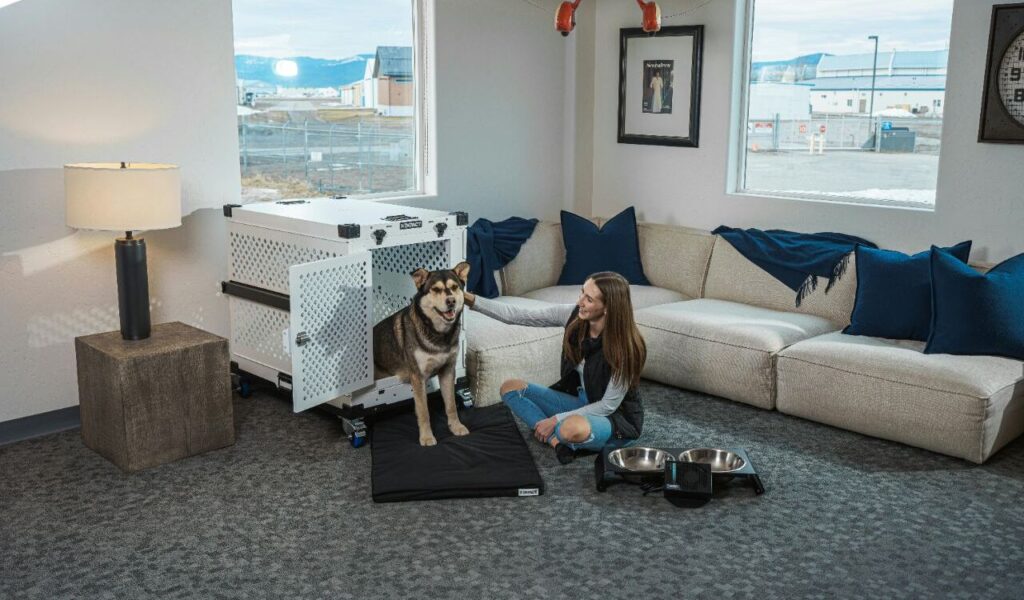 Woman and dog in a crate beside a couch indoors.
