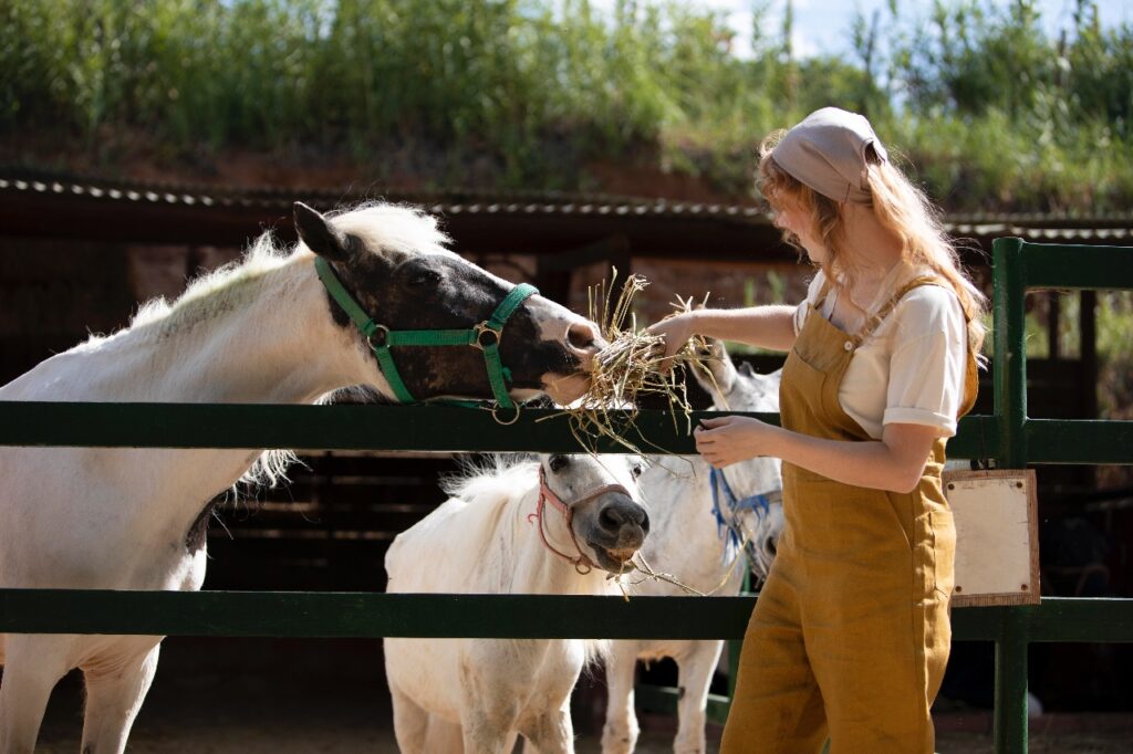 Hand-feeding a horse