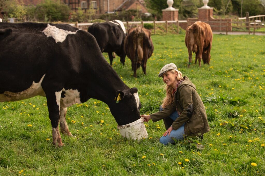 A woman feeding a cow