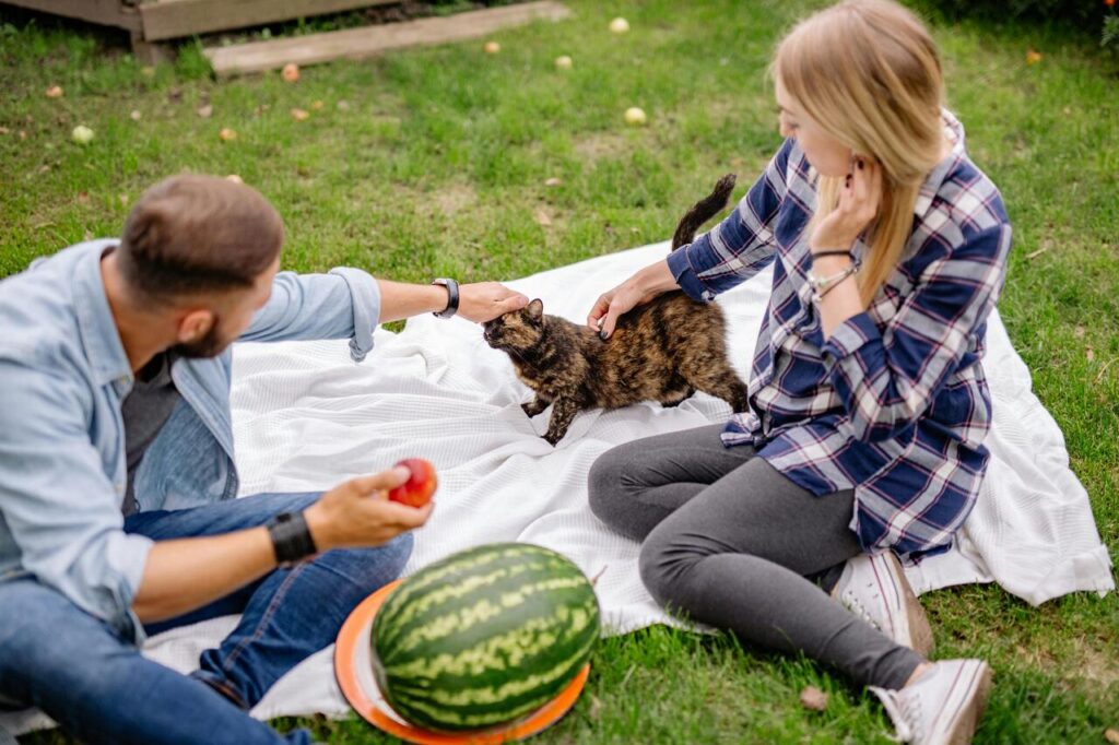 Family picnicking with a playful cat.
