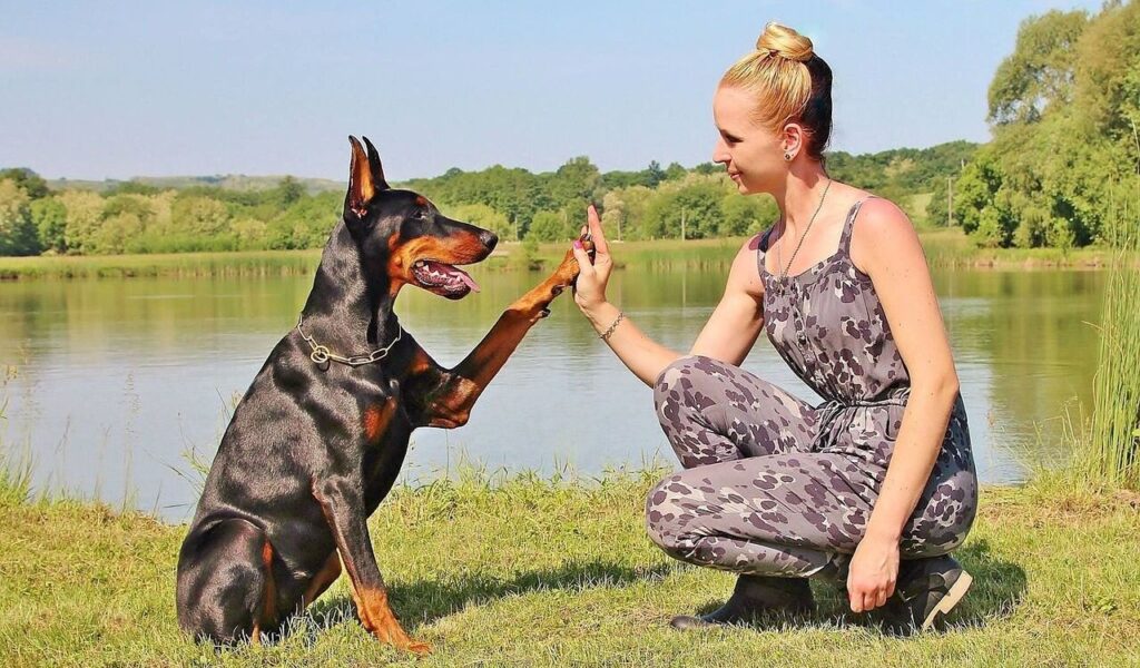 A Doberman high-fives a woman dressed in a patterned jumpsuit near a serene lakeside, showcasing their strong bond and mutual trust.